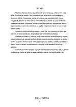 Referāts 'Telpaugu klasifikācijas sistēma', 4.