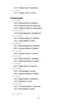 Referāts 'Telpaugu klasifikācijas sistēma', 19.