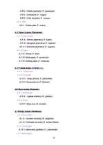 Referāts 'Telpaugu klasifikācijas sistēma', 20.