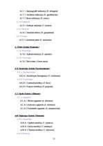 Referāts 'Telpaugu klasifikācijas sistēma', 21.