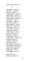 Referāts 'Telpaugu klasifikācijas sistēma', 29.