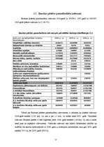 Referāts 'Bauskas pilsētas budžets', 10.