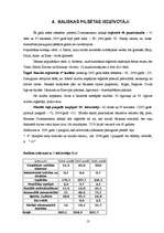 Referāts 'Bauskas pilsētas budžets', 13.