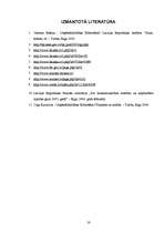 Referāts 'Bauskas pilsētas budžets', 16.