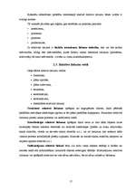 Referāts 'Demogrāfiskā situācija Latvijā', 17.