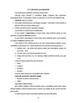 Referāts 'Demogrāfiskā situācija Latvijā', 20.