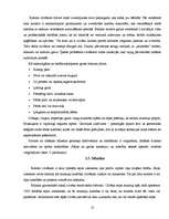 Referāts 'Ķermeņa valodas lietošana un nozīme', 11.