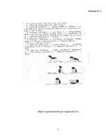 Referāts 'Ķermeņa valodas lietošana un nozīme', 37.