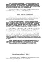 Referāts 'Sirreālisms un tā daudzveidīgā izpausme', 5.