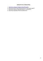 Referāts 'Nelaimes gadījums ar SIA "Aeronavigācijas serviss. Mācību centrs" gaisa kuģi "Ce', 10.