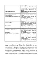 Referāts 'Sociālie mediji - instruments uzņēmējdarbības attīstīšanai', 8.