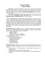 Konspekts 'Miega filoloģija', 1.