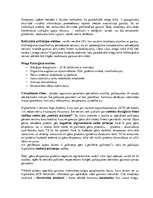 Konspekts 'Miega filoloģija', 2.