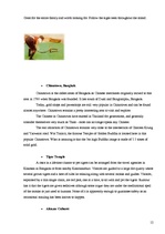 Referāts 'Tourism in Thailand', 12.