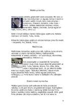 Referāts 'Somija', 18.