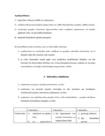 Referāts 'Projektu vadības un konsultāciju uzņēmuma izveide', 4.