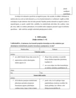 Referāts 'Projektu vadības un konsultāciju uzņēmuma izveide', 6.