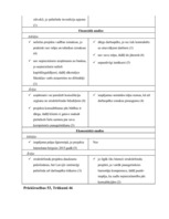 Referāts 'Projektu vadības un konsultāciju uzņēmuma izveide', 8.