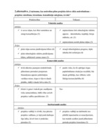 Referāts 'Projektu vadības un konsultāciju uzņēmuma izveide', 9.