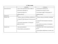 Referāts 'Projektu vadības un konsultāciju uzņēmuma izveide', 13.