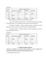 Referāts 'Projektu vadības un konsultāciju uzņēmuma izveide', 14.