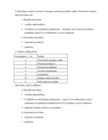 Referāts 'Projektu vadības un konsultāciju uzņēmuma izveide', 18.