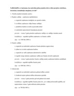 Referāts 'Projektu vadības un konsultāciju uzņēmuma izveide', 19.