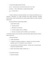 Referāts 'Projektu vadības un konsultāciju uzņēmuma izveide', 24.