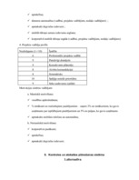 Referāts 'Projektu vadības un konsultāciju uzņēmuma izveide', 25.