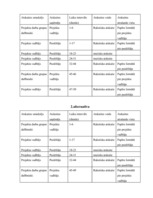 Referāts 'Projektu vadības un konsultāciju uzņēmuma izveide', 26.