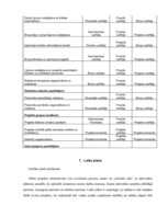 Referāts 'Projektu vadības un konsultāciju uzņēmuma izveide', 31.