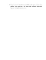 Referāts 'Projektu vadības un konsultāciju uzņēmuma izveide', 33.