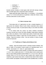 Prakses atskaite 'Prakses atskaite psiholoģijā', 25.