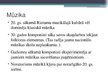 Prezentācija 'Kultūra 20.gadsimta sākumā', 14.