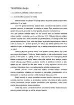 Diplomdarbs 'Vērtību atšķirības azartatkarīgiem un azartneatkarīgiem azartspēles spēlējošiem ', 7.