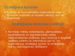 Prezentācija 'Stratēģiskās kontroles sistēma', 2.