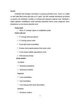 Referāts 'Datora modifikācija', 3.