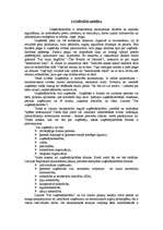 Referāts 'Ražošana', 2.