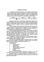 Referāts 'Ražošana', 5.