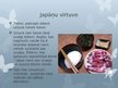 Prezentācija 'Cilvēka ķermenis socioloģiskajā skatījumā. Japānas iedzīvotāju ēšanas paradumi', 3.