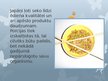 Prezentācija 'Cilvēka ķermenis socioloģiskajā skatījumā. Japānas iedzīvotāju ēšanas paradumi', 5.