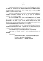 Referāts 'Datorspēļu vēsture', 5.