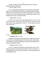 Referāts 'Datorspēļu vēsture', 24.