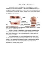 Referāts 'Datorspēļu vēsture', 28.