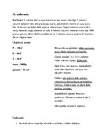 Konspekts 'Aprūpes plāns pediatrijā', 1.