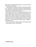 Referāts 'Cilvēktiesību būtība un problēmas', 3.