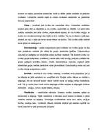 Referāts 'Cilvēktiesību būtība un problēmas', 25.