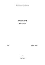 Referāts 'Konflikti', 1.