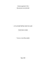 Referāts 'Latvijas naktsmītņu raksturojums', 1.