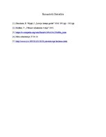 Eseja 'Sabiedrības noskaņojums 1991.gada barikāžu dienās. Cēloņi un sekas', 2.